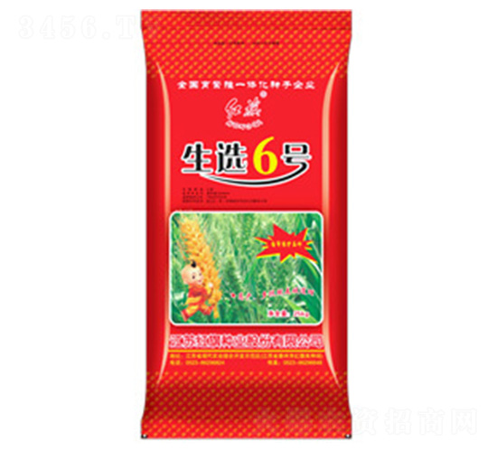 生選6號-小麥種子-紅旗種業