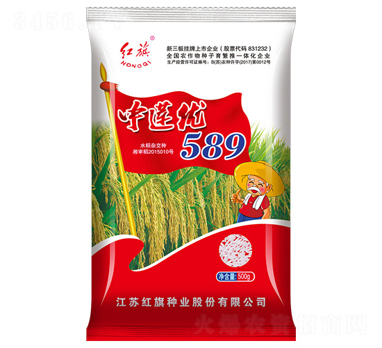 中蓮優589-水稻種子-紅旗種業