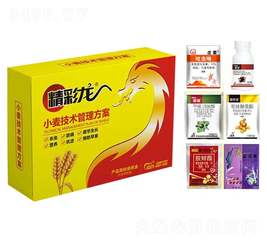 小麥技術管理方案-精彩龍-昊宇農業