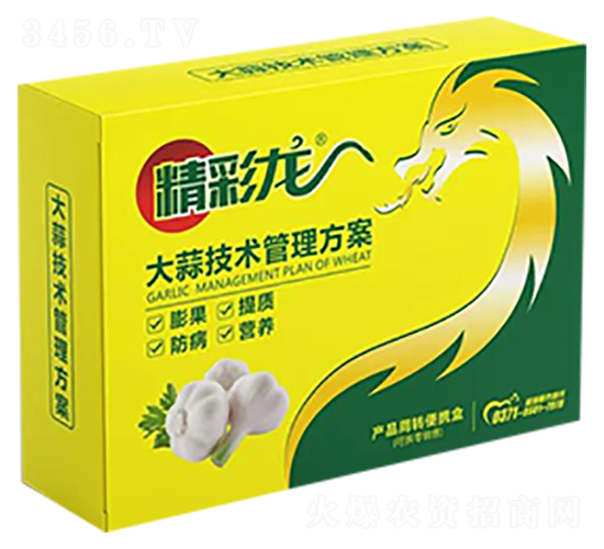 大蒜技術管理方案-精彩龍-昊宇農業(yè)