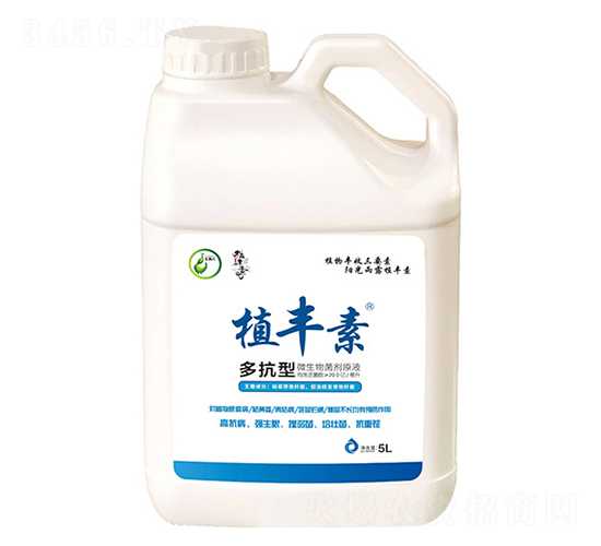 多抗型-植豐素-玉美人作物