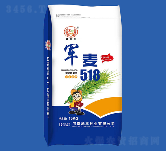 軍麥518-小麥種子-地豐種業
