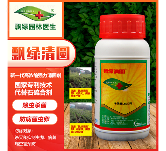 飄綠清圓-飄綠