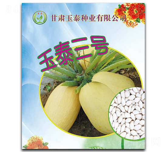 玉泰三號-西葫蘆種子-玉泰種業