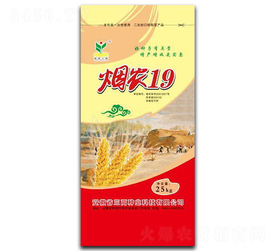 煙農19-小麥種子-三高種業