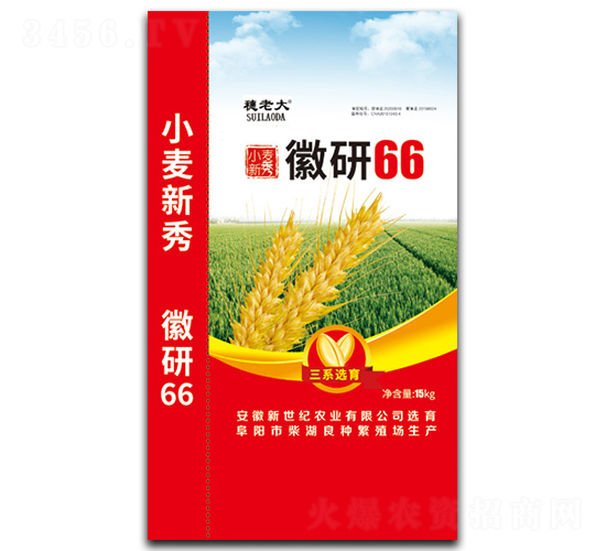 徽研66-小麥種子-三高種業