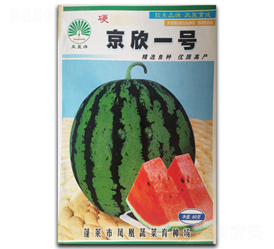 京欣一號(hào)-西瓜種子-鳳凰種業(yè)