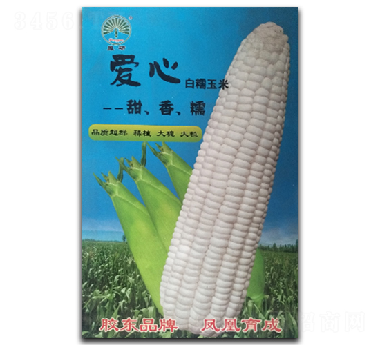 愛心-糯玉米種子-鳳凰種業