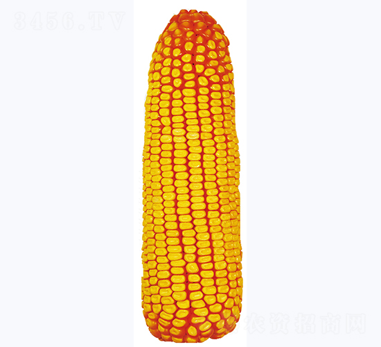 359-׷N-NI