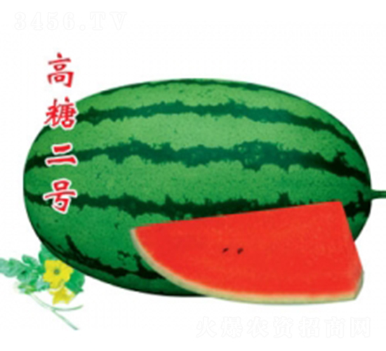 高糖二號-西瓜種子-秦紅種業(yè)