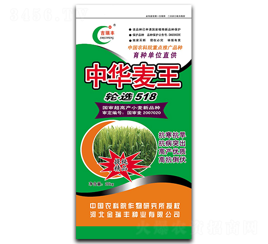 輪選518-小麥種子-金瑞豐種業