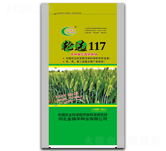 輪選117-小麥種子-金瑞豐種業