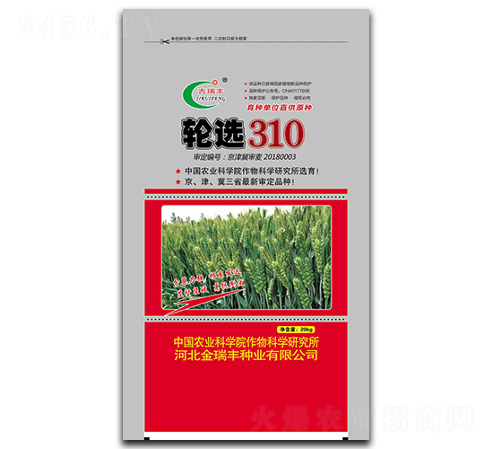 輪選310（20kg）-小麥種子-金瑞豐種業