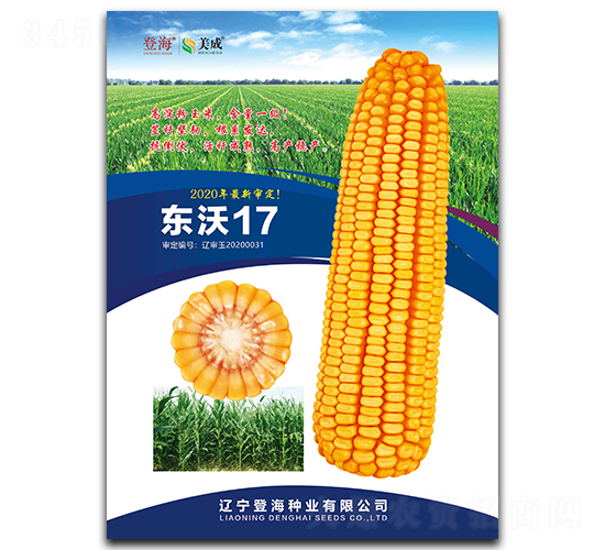 東沃17-玉米種子-登海種業