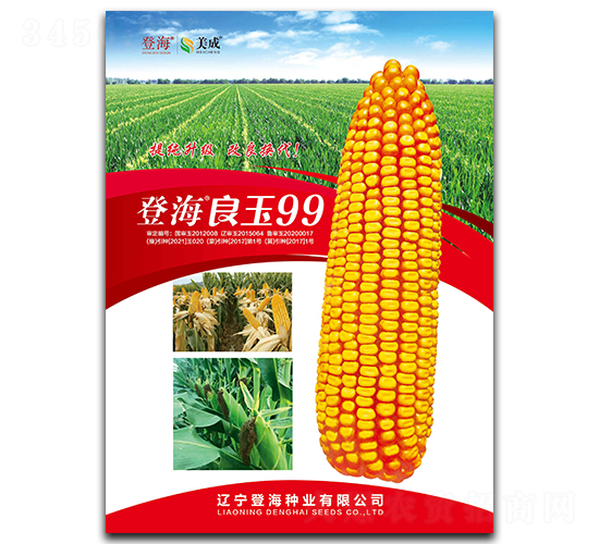 登海良玉99-玉米種子-登海種業