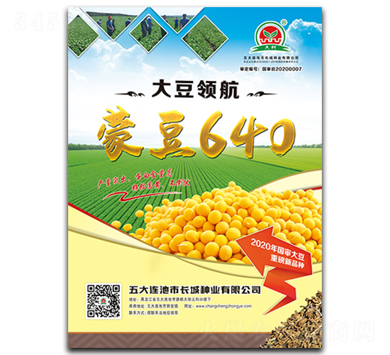 蒙豆640-大豆種子-長城種業