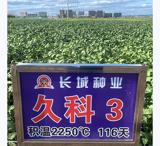 久科3號-大豆種子-長城種業