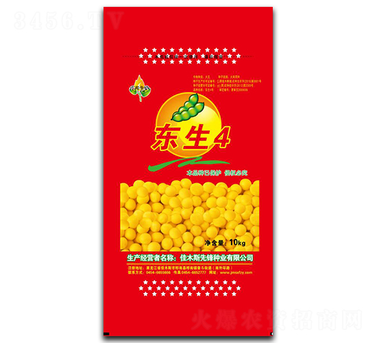 東生4-大豆種子-先鋒種業