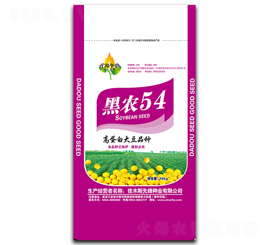 黑農54（10kg）-大豆種子-先鋒種業