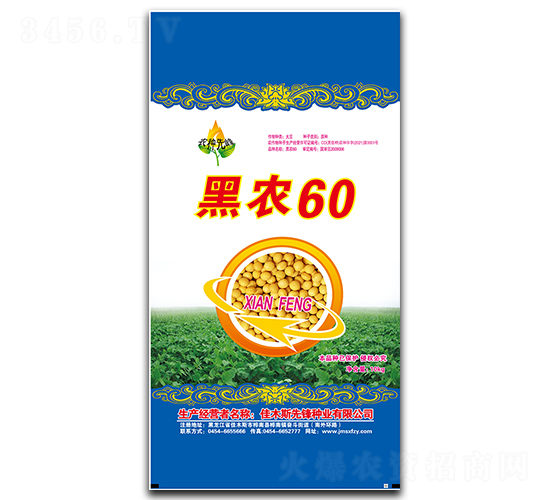 黑農60（藍）-大豆種子-先鋒種業