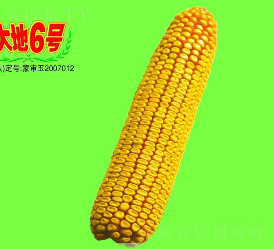 6̖-׷N-طNI