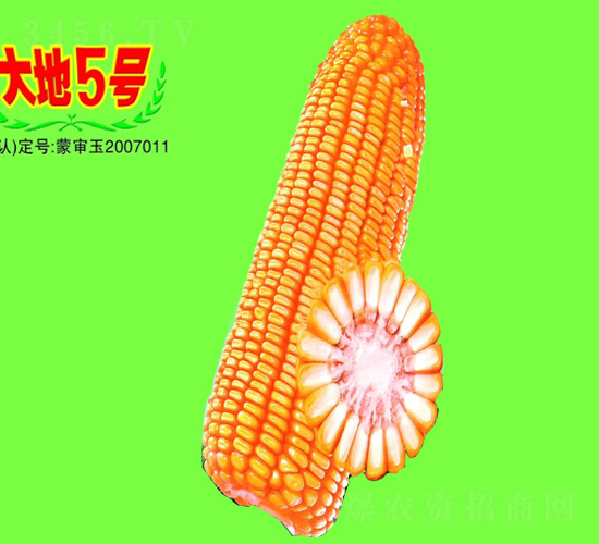 5̖-׷N-طNI