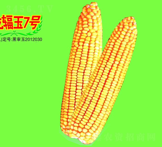 ݗ7̖-׷N-طNI