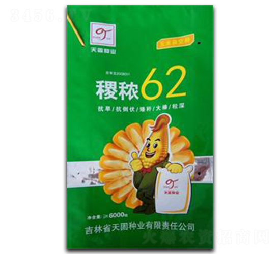 稷秾62-玉米種子-天固種業