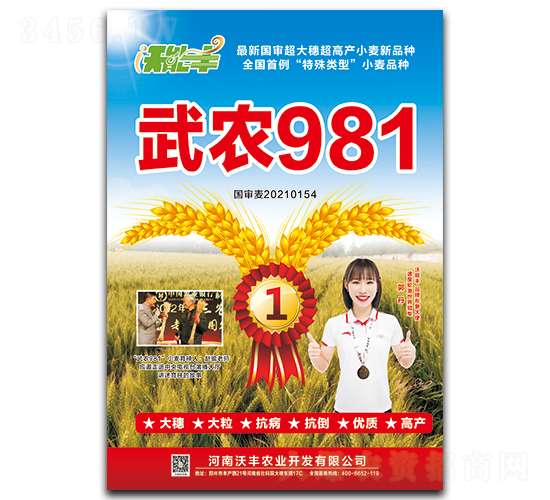 武農981-小麥種子-沃能豐