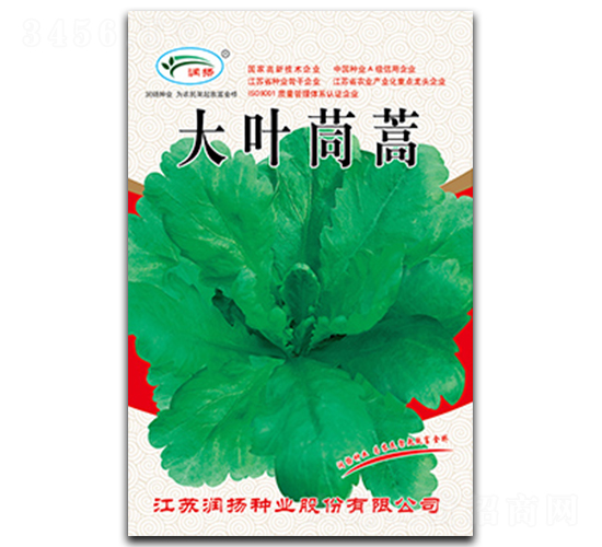 大葉茼蒿-茼蒿種子-潤揚種業(yè)