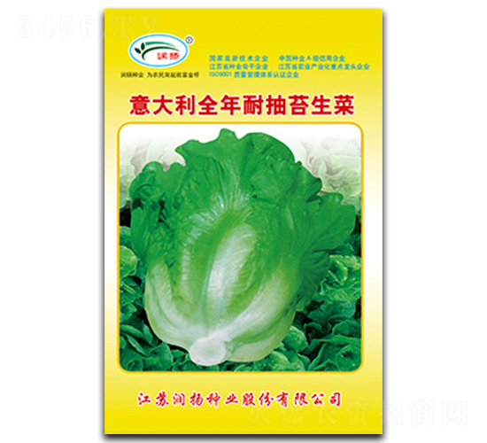 意大利全年耐抽苔生菜-生菜種子-潤揚種業