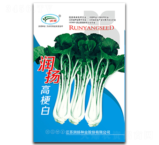 潤揚高梗白-青菜種子-潤揚種業