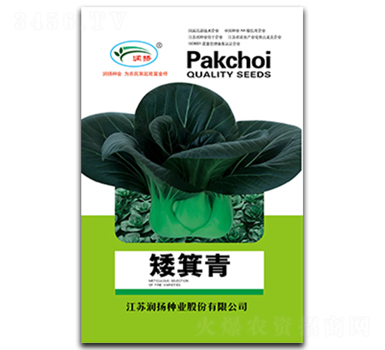 矮箕青-青菜種子-潤揚種業