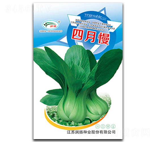 四月慢-青菜種子-潤揚種業
