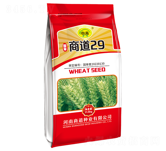 商道29-小麥種子-商道種業