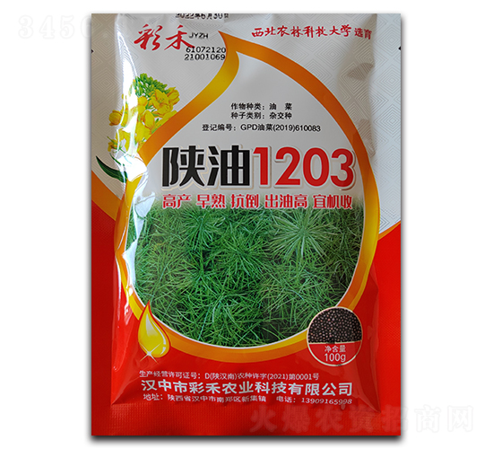 陜油1203-彩禾-鑫博農業