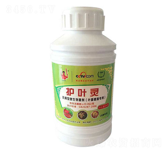抗病型微生物菌劑-護葉靈-金滿田