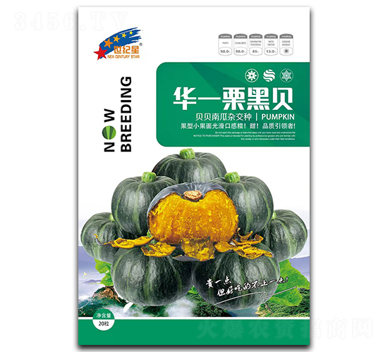 華一栗黑貝-南瓜種子-華一種業