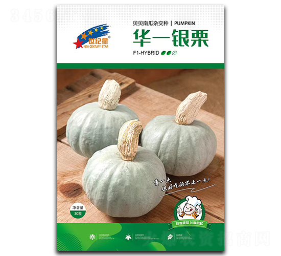華一銀栗-南瓜種子-華一種業
