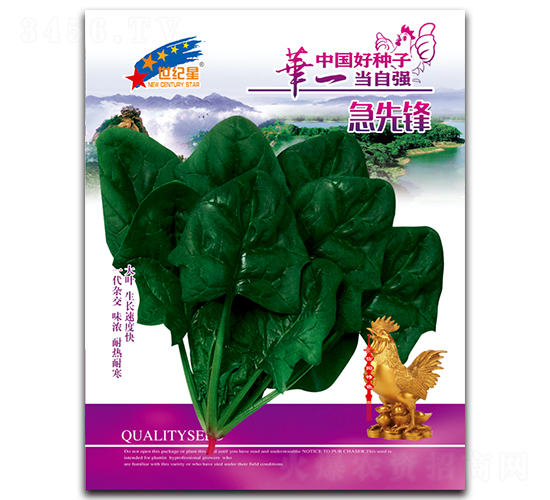 急先鋒-菠菜種子-華一種業