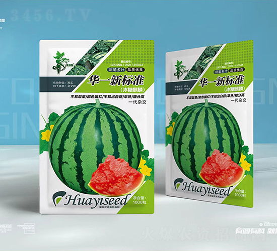 華一新標準-西瓜種子-華一種業