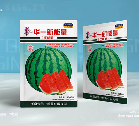華一新能量-西瓜種子-華一種業(yè)