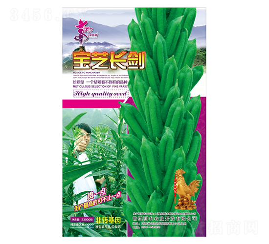 寶芝長劍-芝麻種子-華一種業
