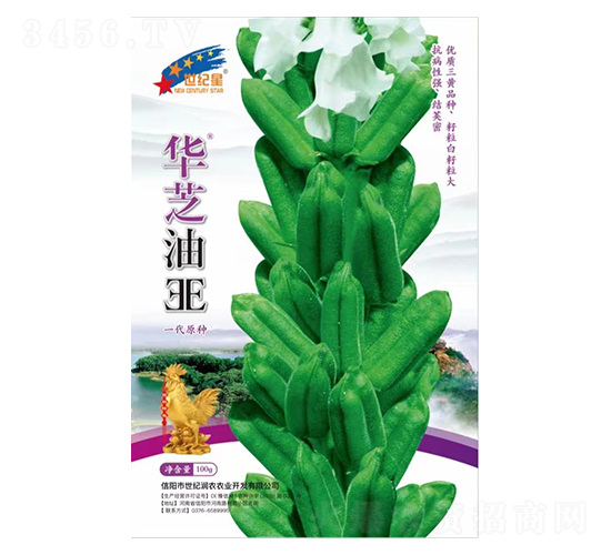 華芝油EE-芝麻種子-華一種業