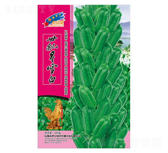 世紀星雪白-芝麻種子-華一種業