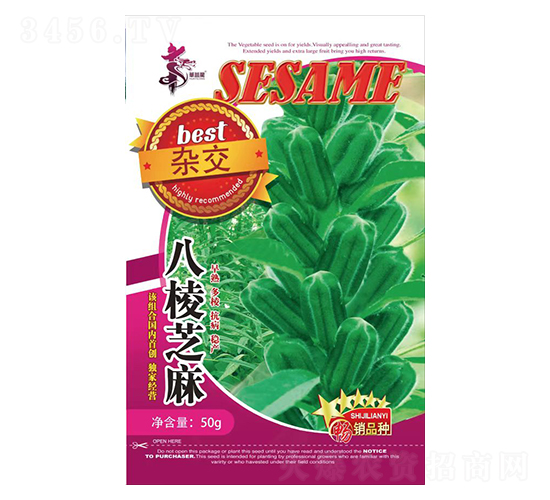 雜交八棱芝麻-芝麻種子-華一種業