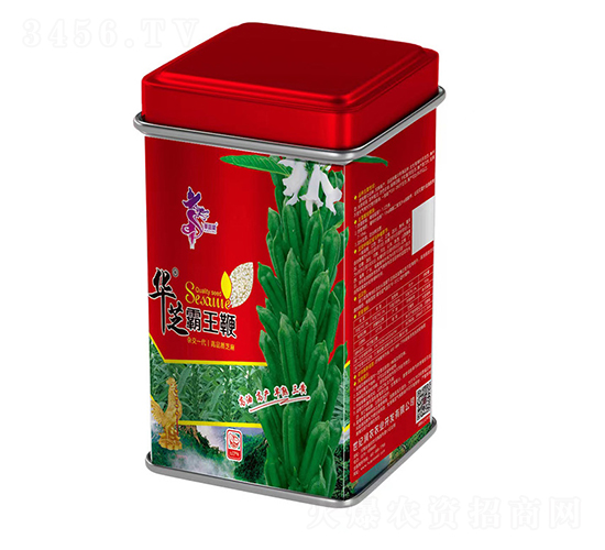 華芝霸王鞭-芝麻種子-華一種業