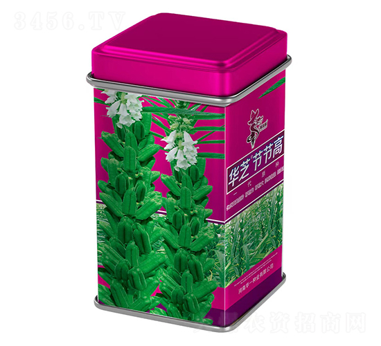 華芝節節高-芝麻種子-華一種業