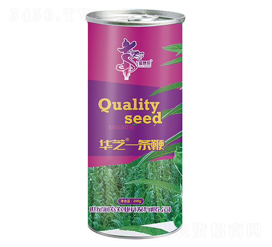 華芝一條鞭-芝麻種子-華一種業