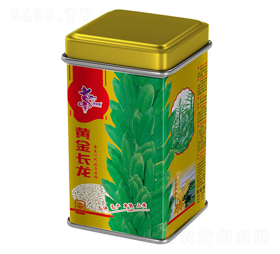 黃金長(zhǎng)龍-芝麻種子-華一種業(yè)